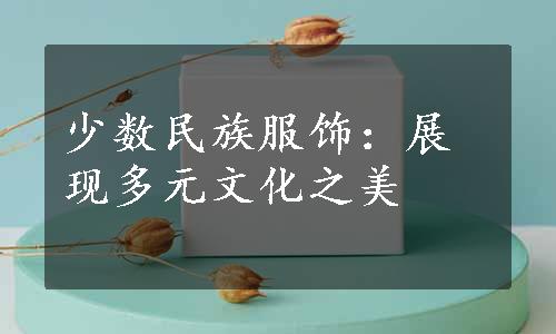 少数民族服饰：展现多元文化之美