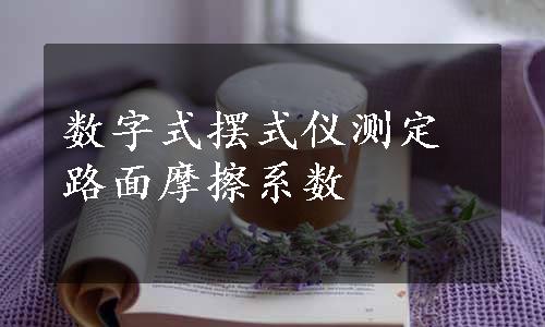 数字式摆式仪测定路面摩擦系数