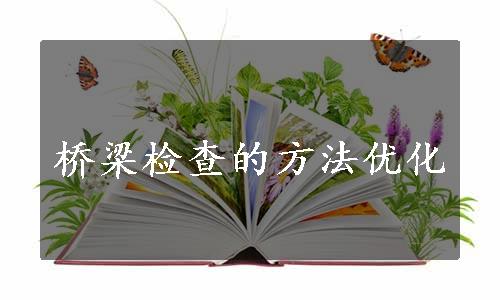 桥梁检查的方法优化