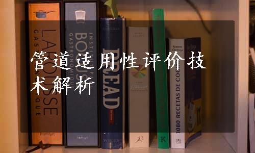 管道适用性评价技术解析