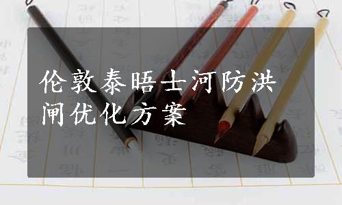 伦敦泰晤士河防洪闸优化方案