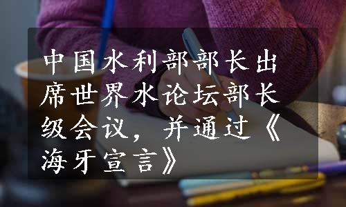 中国水利部部长出席世界水论坛部长级会议，并通过《海牙宣言》