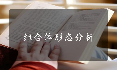 组合体形态分析