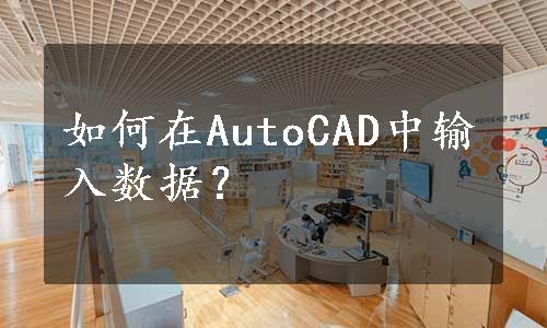 如何在AutoCAD中输入数据？