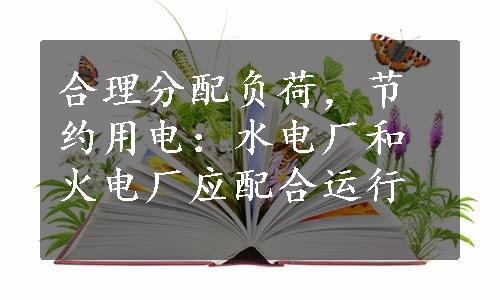 合理分配负荷，节约用电：水电厂和火电厂应配合运行