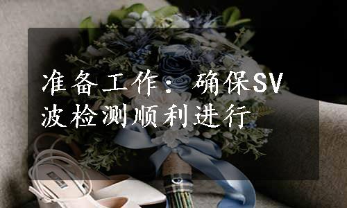 准备工作：确保SV波检测顺利进行