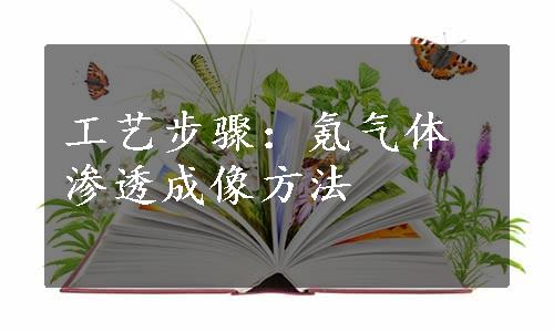 工艺步骤：氪气体渗透成像方法