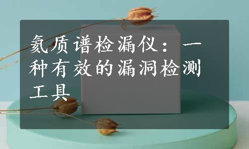 氦质谱检漏仪：一种有效的漏洞检测工具