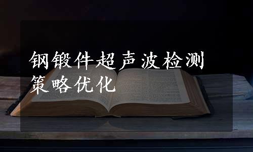 钢锻件超声波检测策略优化