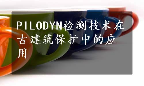 PILODYN检测技术在古建筑保护中的应用 