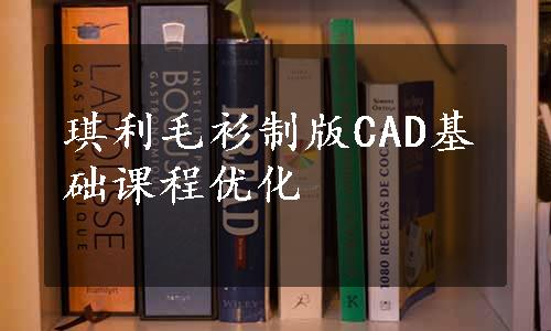 琪利毛衫制版CAD基础课程优化