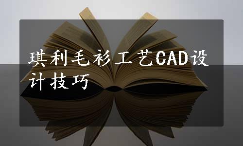 琪利毛衫工艺CAD设计技巧