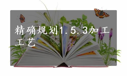 精确规划1.5.3加工工艺