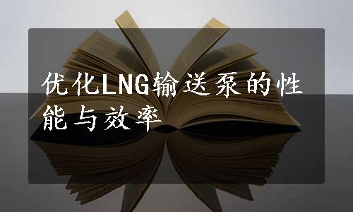 优化LNG输送泵的性能与效率