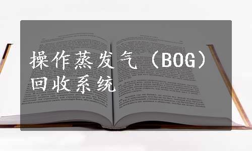 操作蒸发气（BOG）回收系统