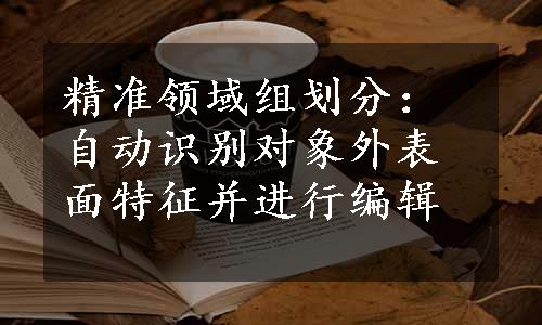 精准领域组划分：自动识别对象外表面特征并进行编辑