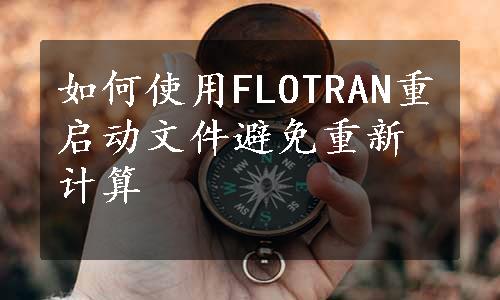 如何使用FLOTRAN重启动文件避免重新计算