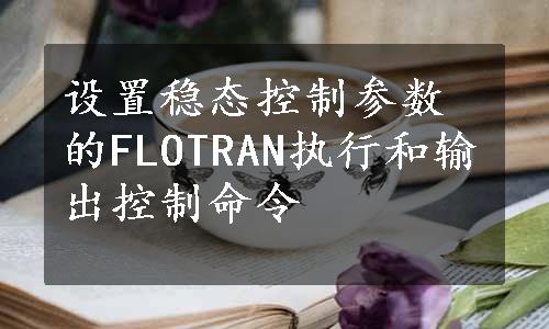 设置稳态控制参数的FLOTRAN执行和输出控制命令