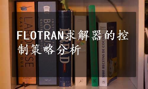 FLOTRAN求解器的控制策略分析