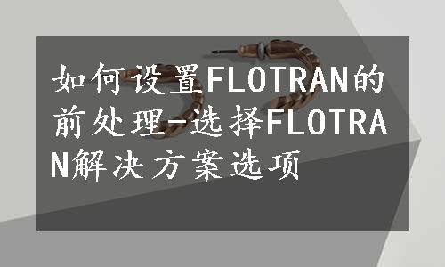 如何设置FLOTRAN的前处理-选择FLOTRAN解决方案选项