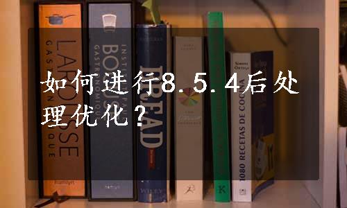 如何进行8.5.4后处理优化？