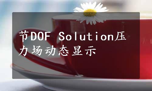 节DOF Solution压力场动态显示