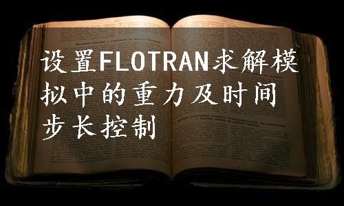 设置FLOTRAN求解模拟中的重力及时间步长控制