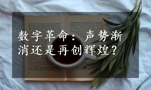 数字革命：声势渐消还是再创辉煌？