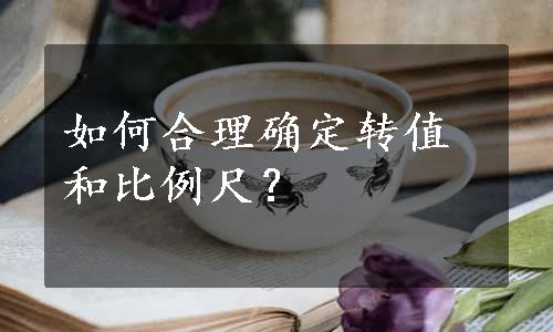 如何合理确定转值和比例尺？