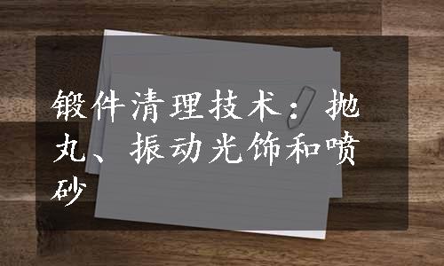 锻件清理技术：抛丸、振动光饰和喷砂