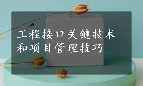 工程接口关键技术和项目管理技巧