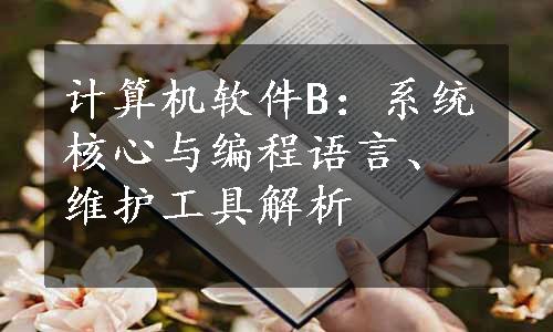 计算机软件B：系统核心与编程语言、维护工具解析