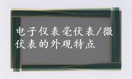 电子仪表毫伏表/微伏表的外观特点