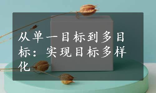 从单一目标到多目标：实现目标多样化