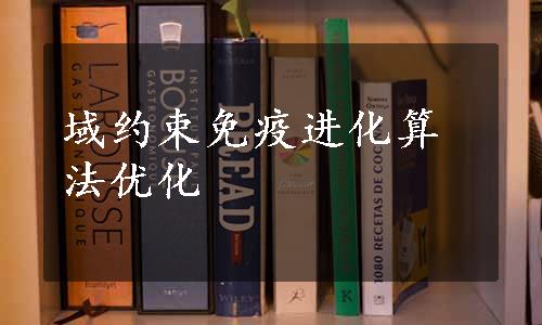 域约束免疫进化算法优化