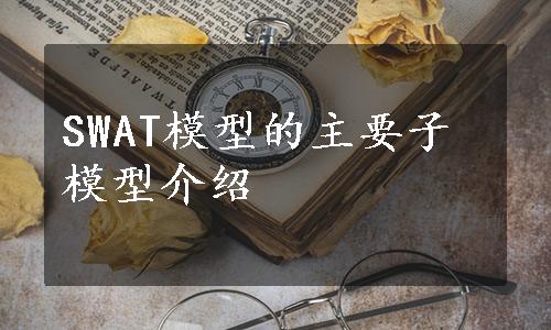 SWAT模型的主要子模型介绍