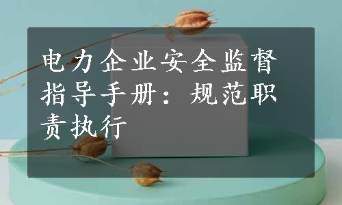 电力企业安全监督指导手册：规范职责执行