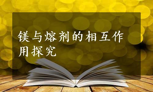 镁与熔剂的相互作用探究