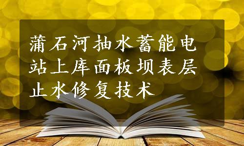 蒲石河抽水蓄能电站上库面板坝表层止水修复技术