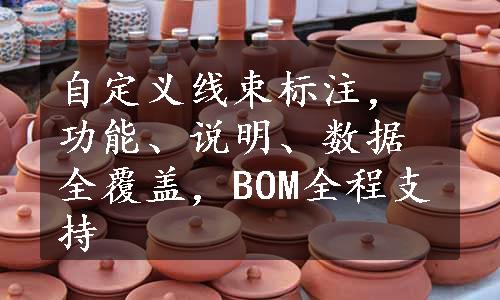 自定义线束标注，功能、说明、数据全覆盖，BOM全程支持