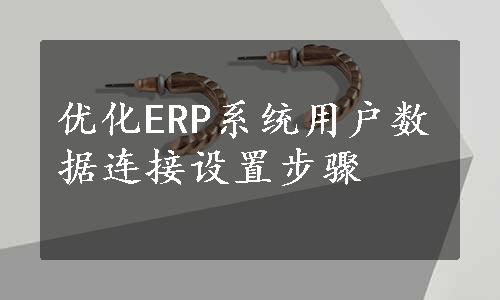 优化ERP系统用户数据连接设置步骤