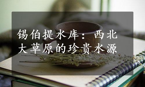 锡伯提水库：西北大草原的珍贵水源