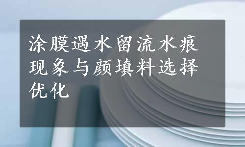 涂膜遇水留流水痕现象与颜填料选择优化