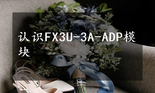 认识FX3U-3A-ADP模块