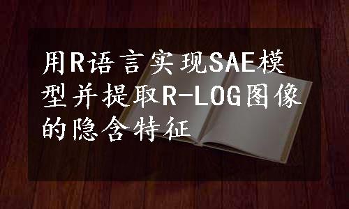 用R语言实现SAE模型并提取R-LOG图像的隐含特征