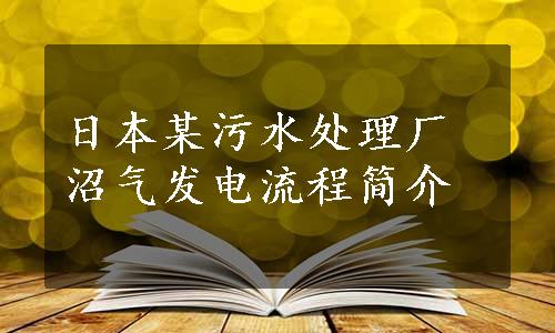 日本某污水处理厂沼气发电流程简介