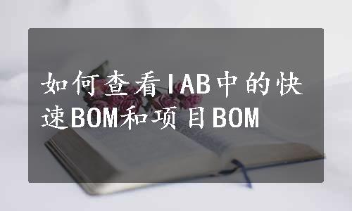 如何查看IAB中的快速BOM和项目BOM