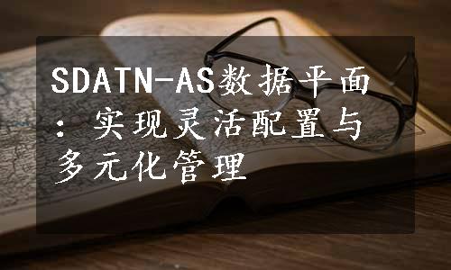 SDATN-AS数据平面：实现灵活配置与多元化管理