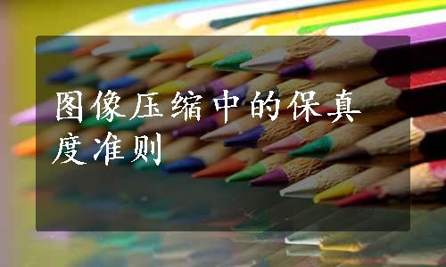 图像压缩中的保真度准则