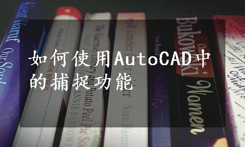 如何使用AutoCAD中的捕捉功能